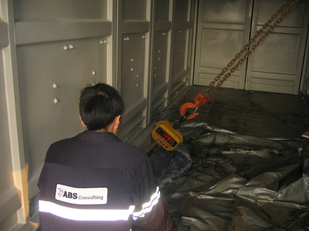 Container inspection service